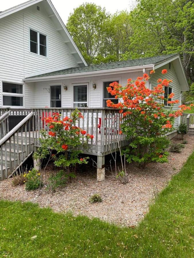 Sea La Vie Apartment Mahone Bay Exterior photo