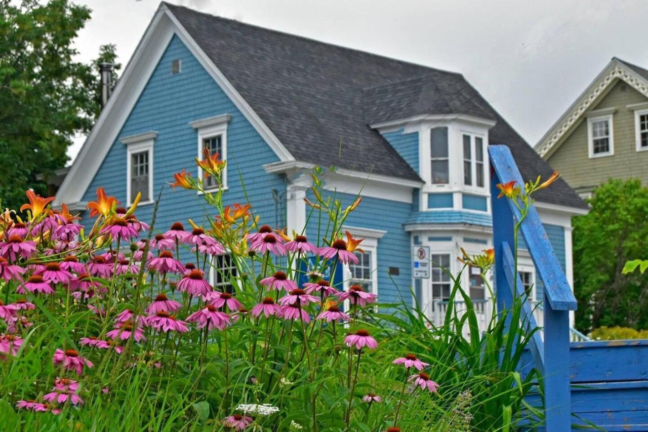 Sea La Vie Apartment Mahone Bay Exterior photo